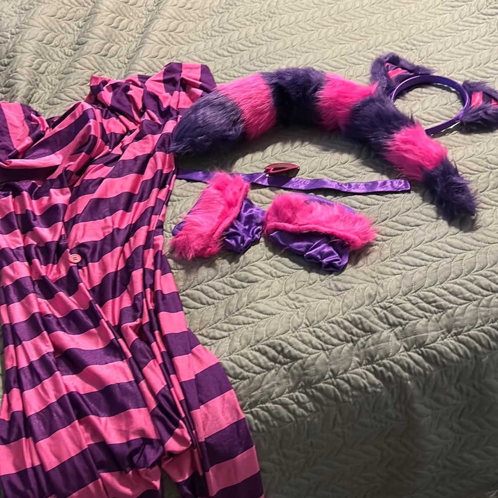 Cheshire Cat costume